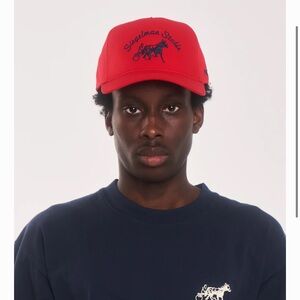 Siegelman Stable Cap